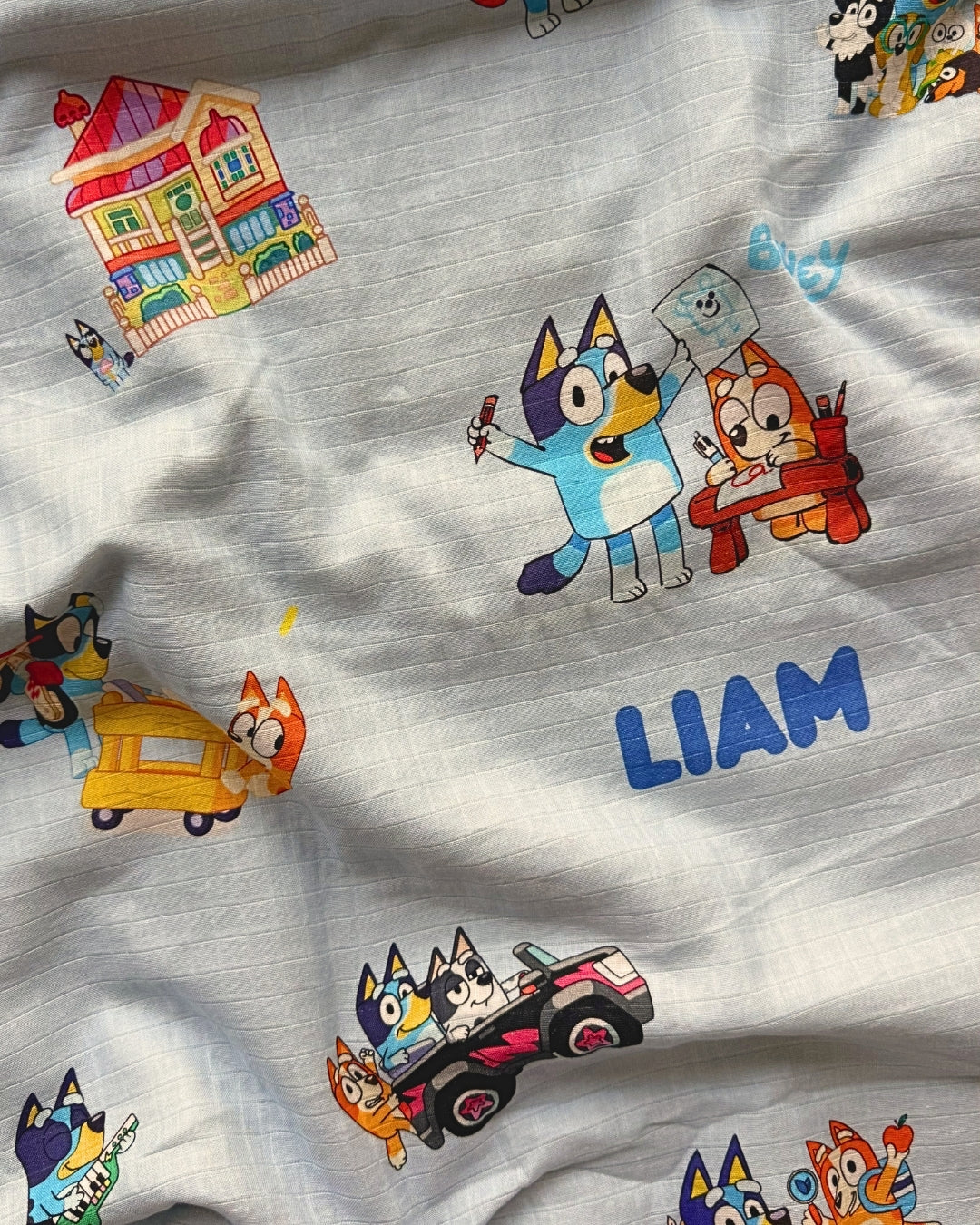 Bluey Customised Blanket