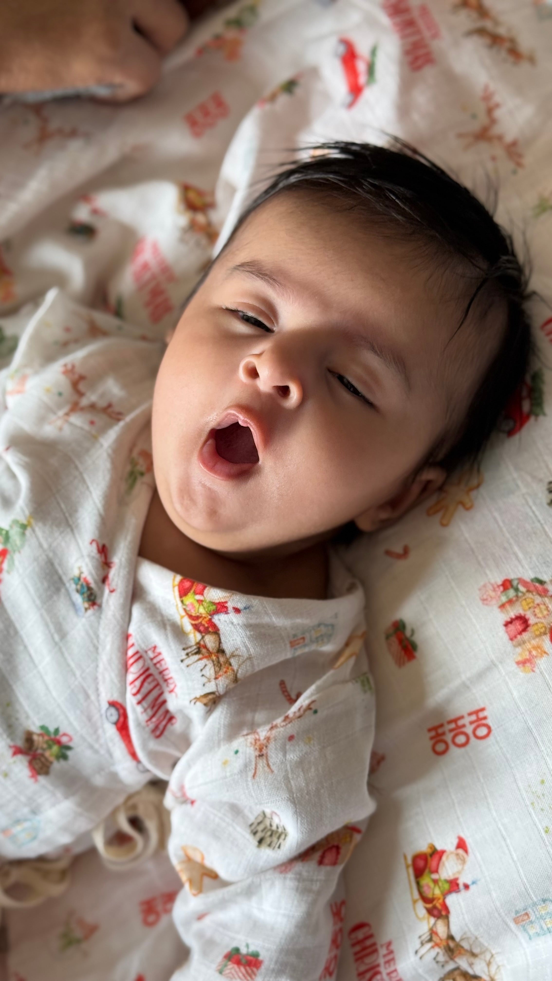 Christmas Swaddle and Angarkha Set