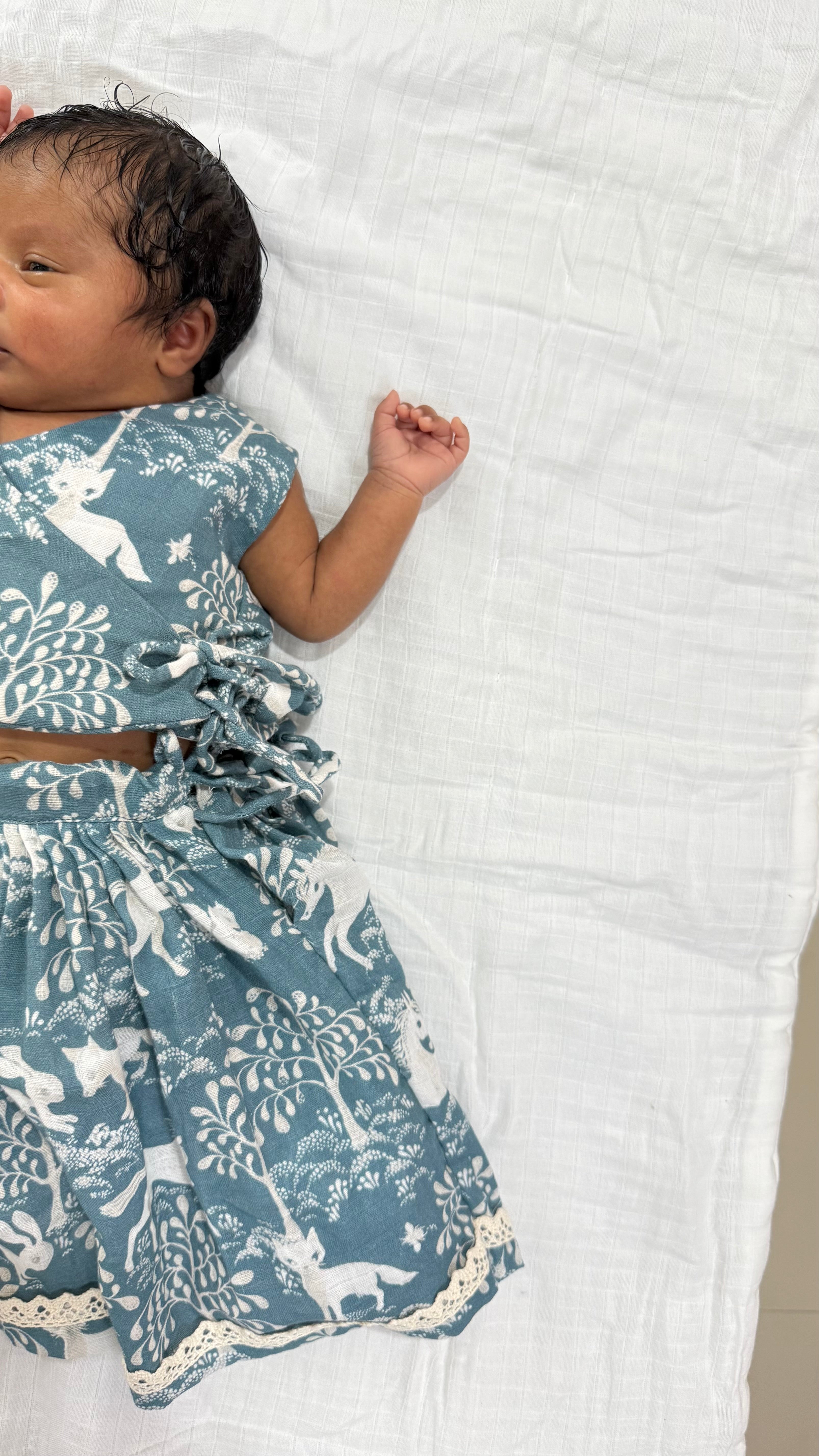 Forest Animal Lehenga Choli