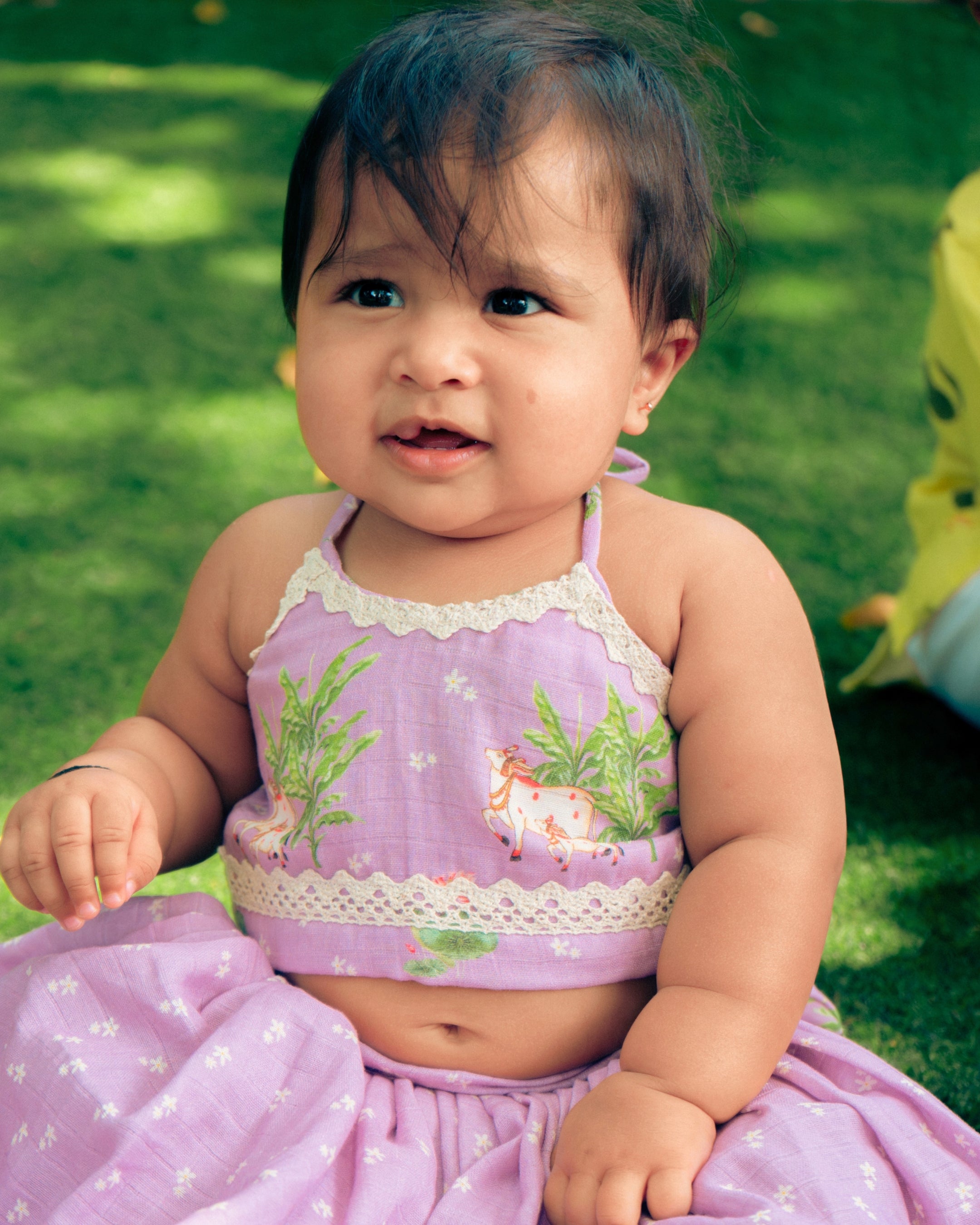 Lilac Pichwai Lehenga Choli