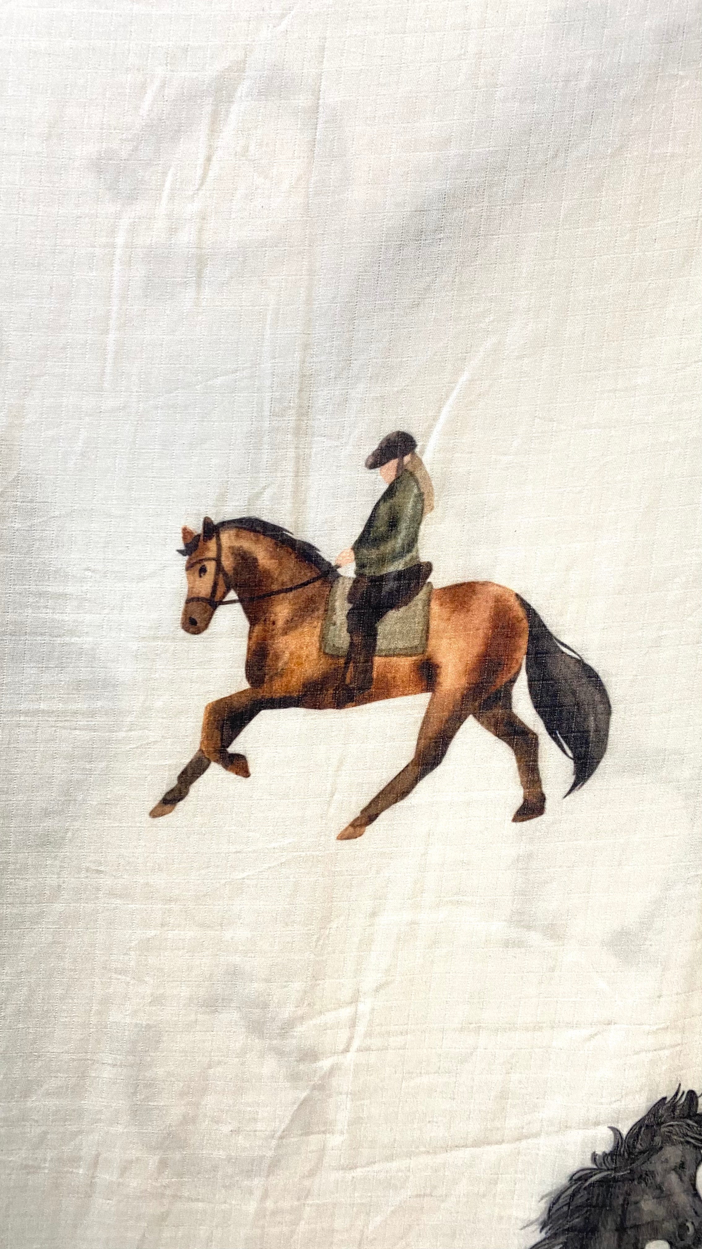 Riding Horse Customised Blanket