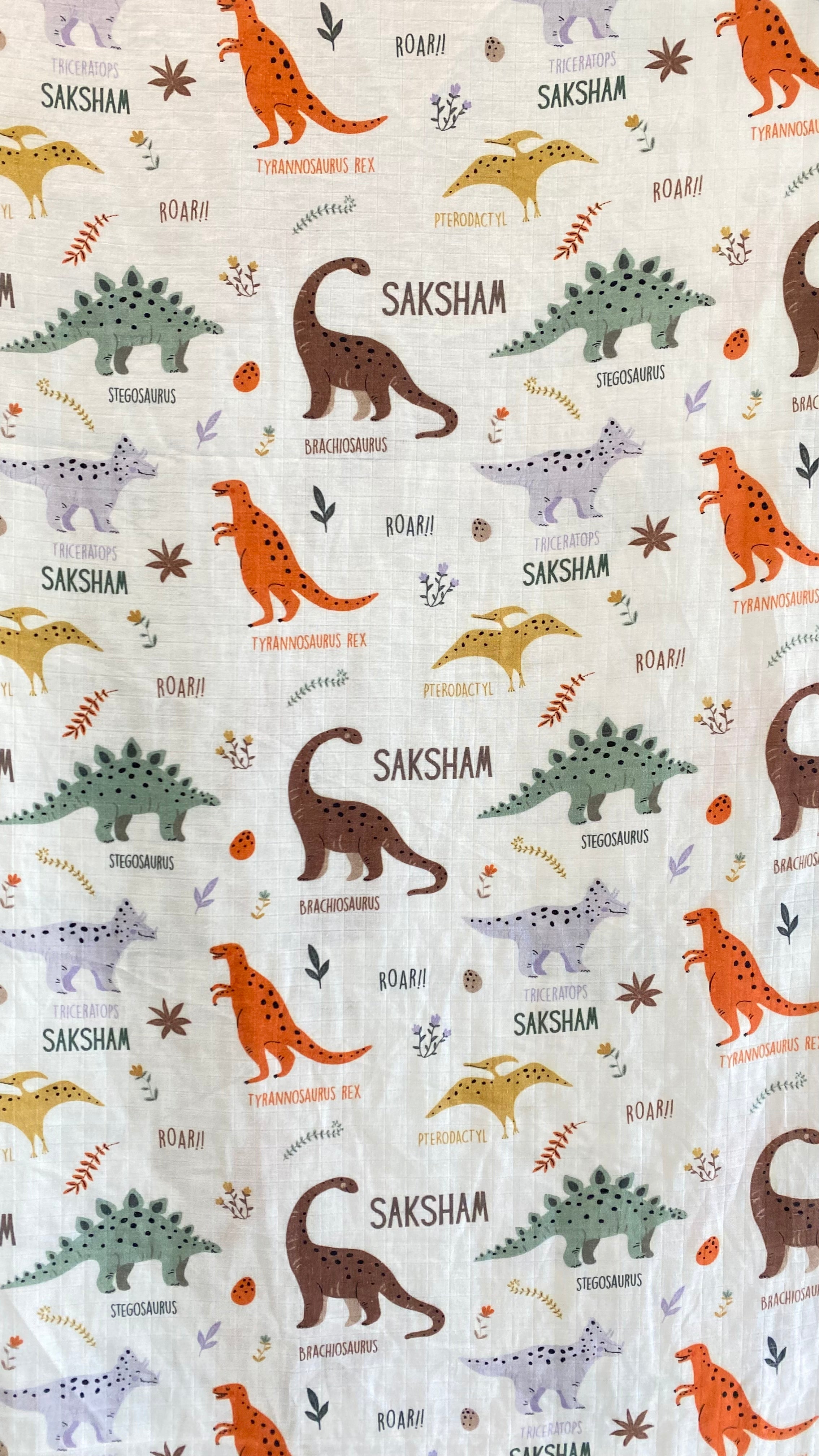 Dinosaur Customised Blanket