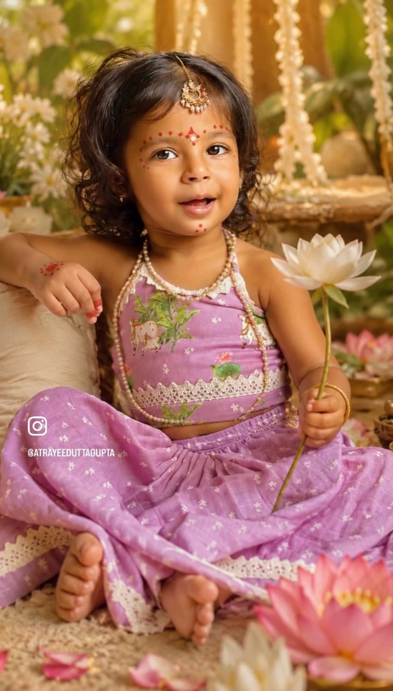 Lilac Pichwai Lehenga Choli