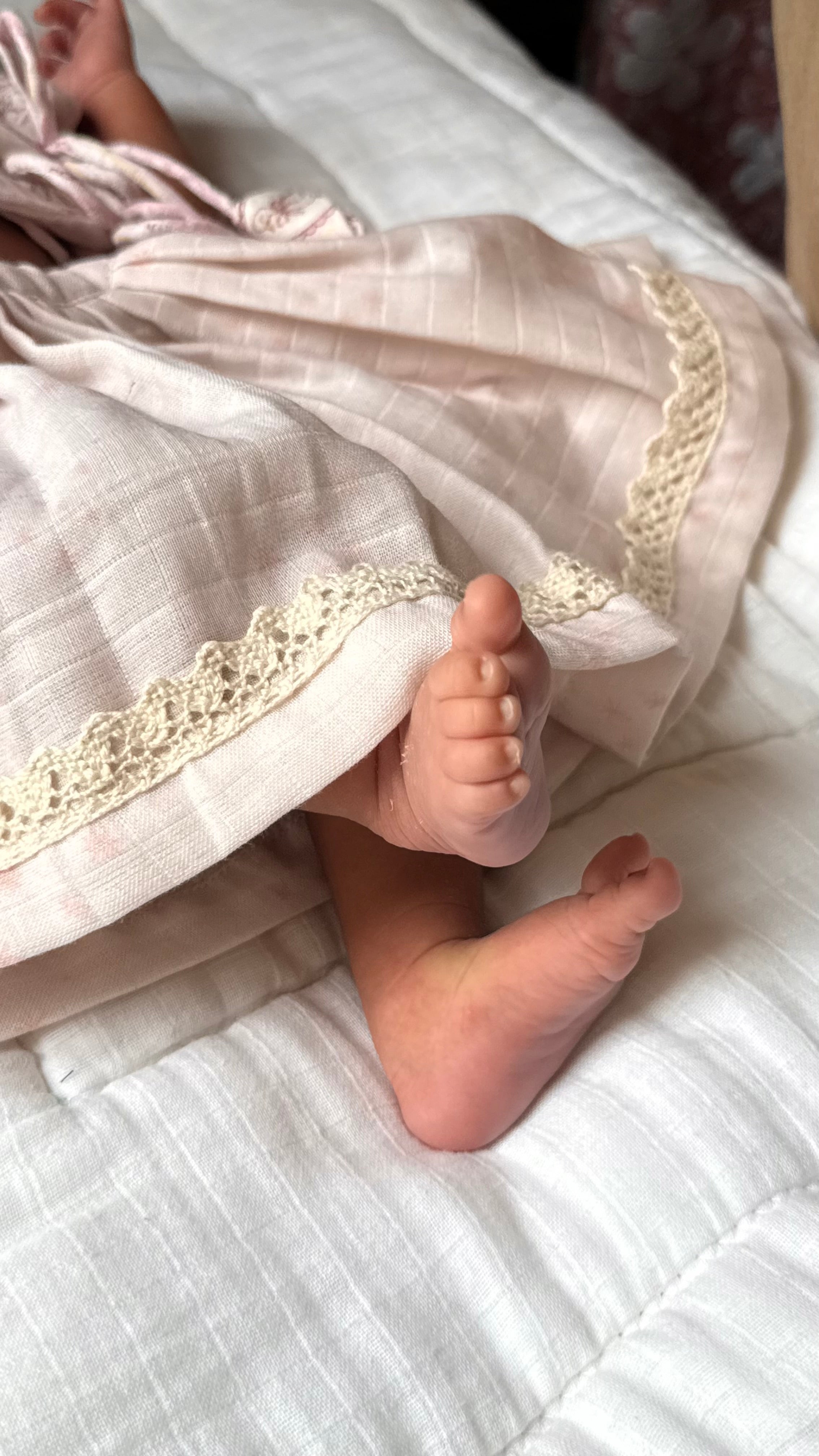 Hello Duck Lehenga Choli