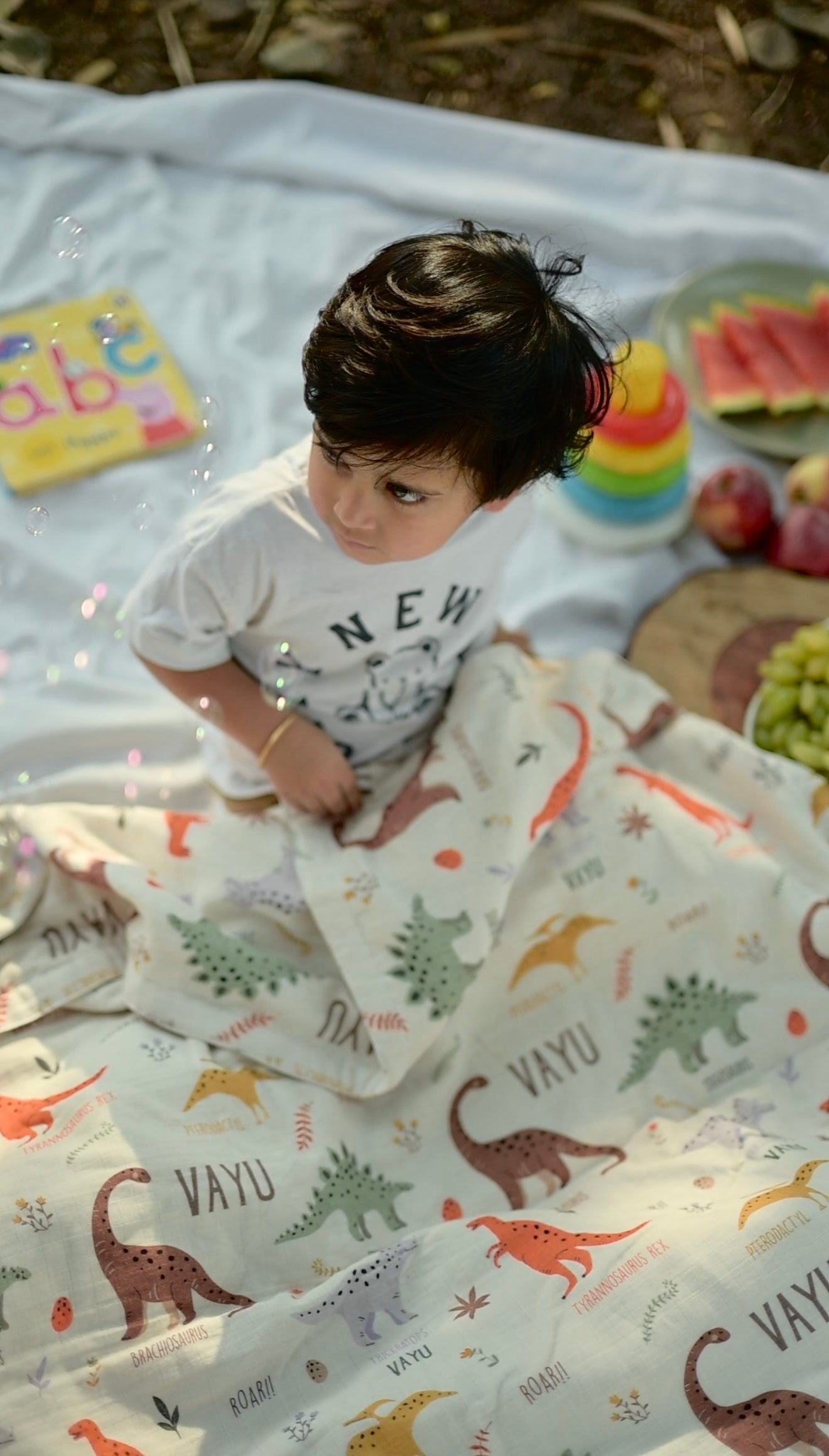 Dinosaur Customised Blanket