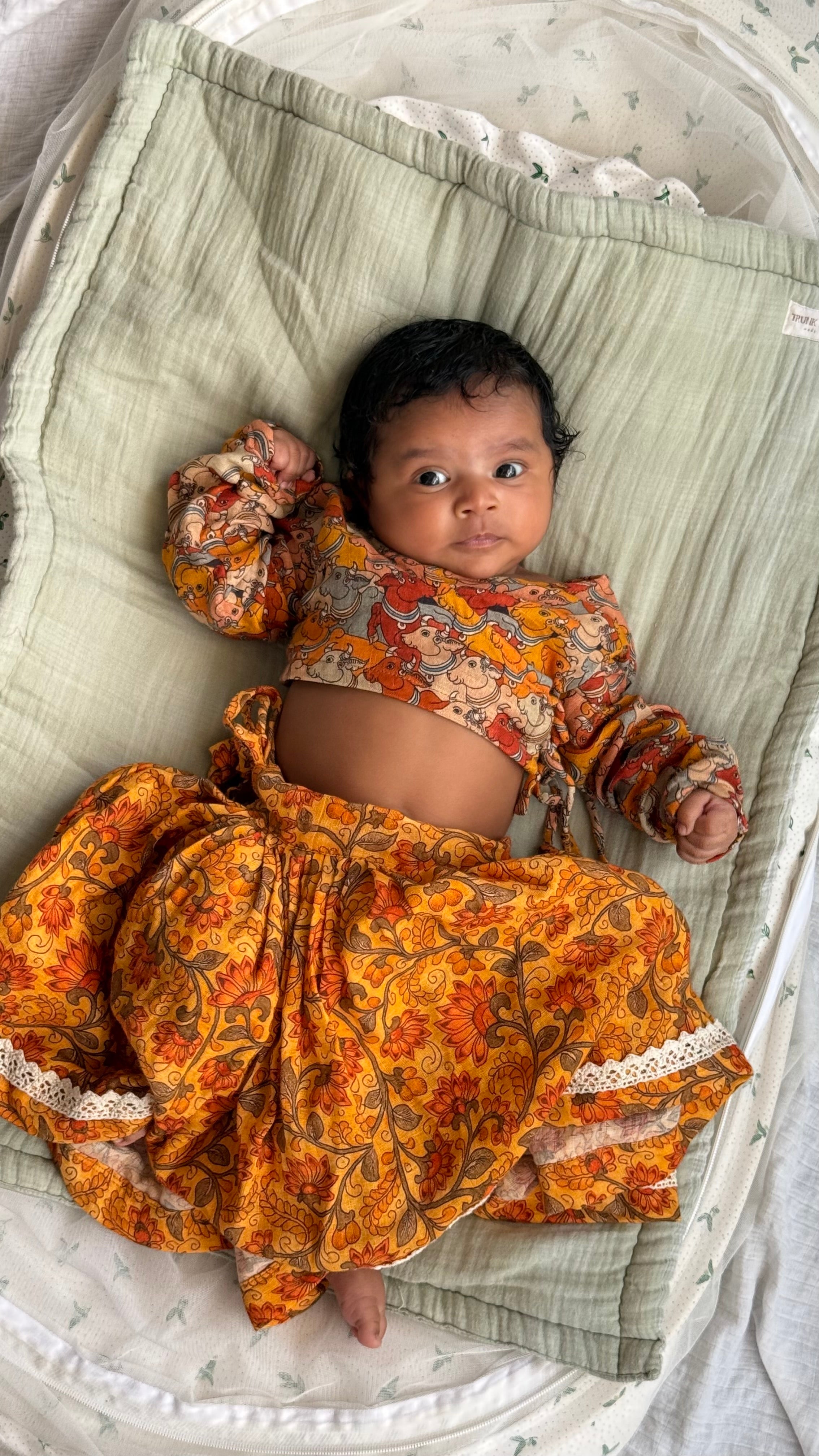 Kalamkari lehenga Choli
