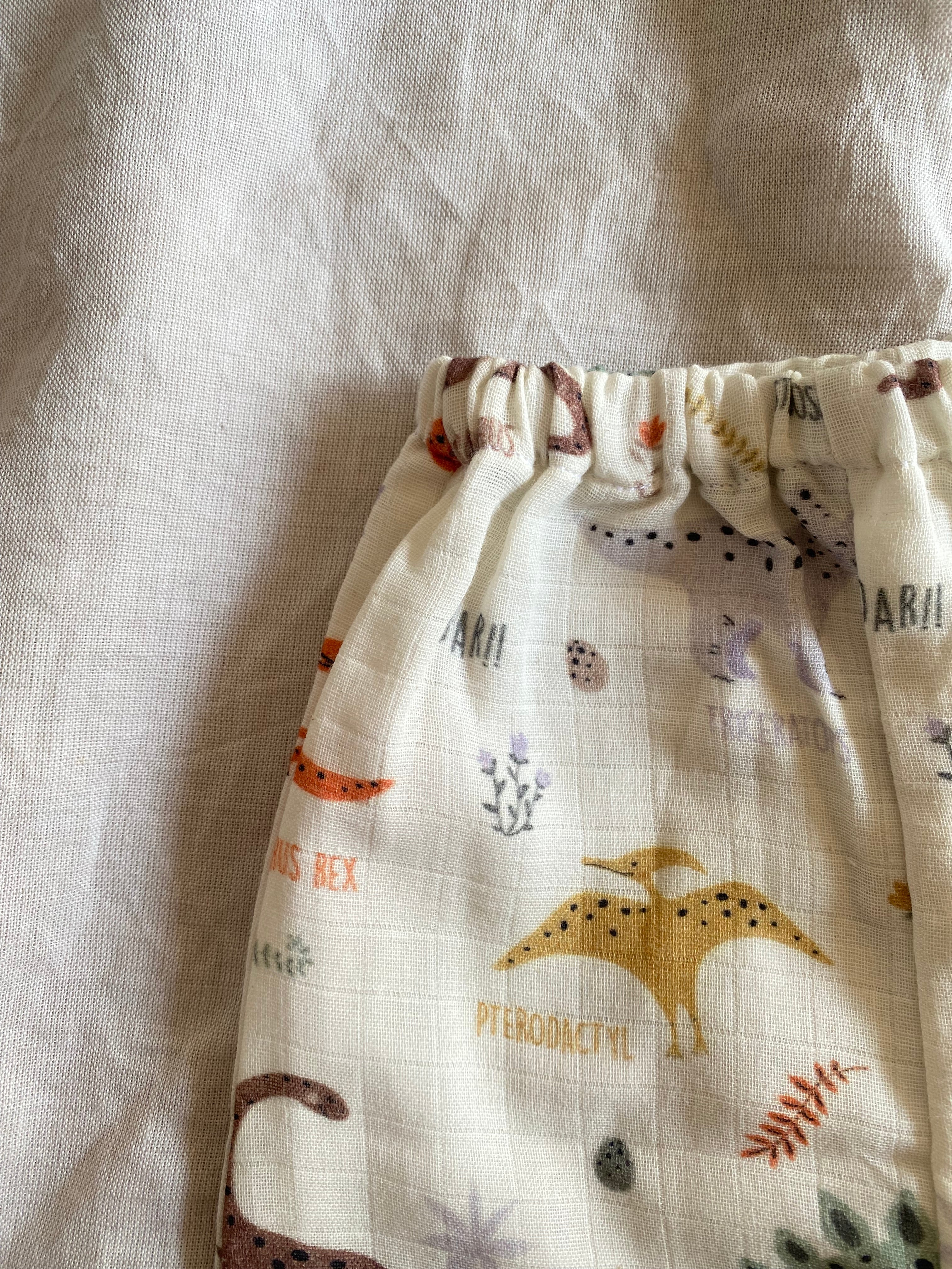 Dinosaur Angarkha Set