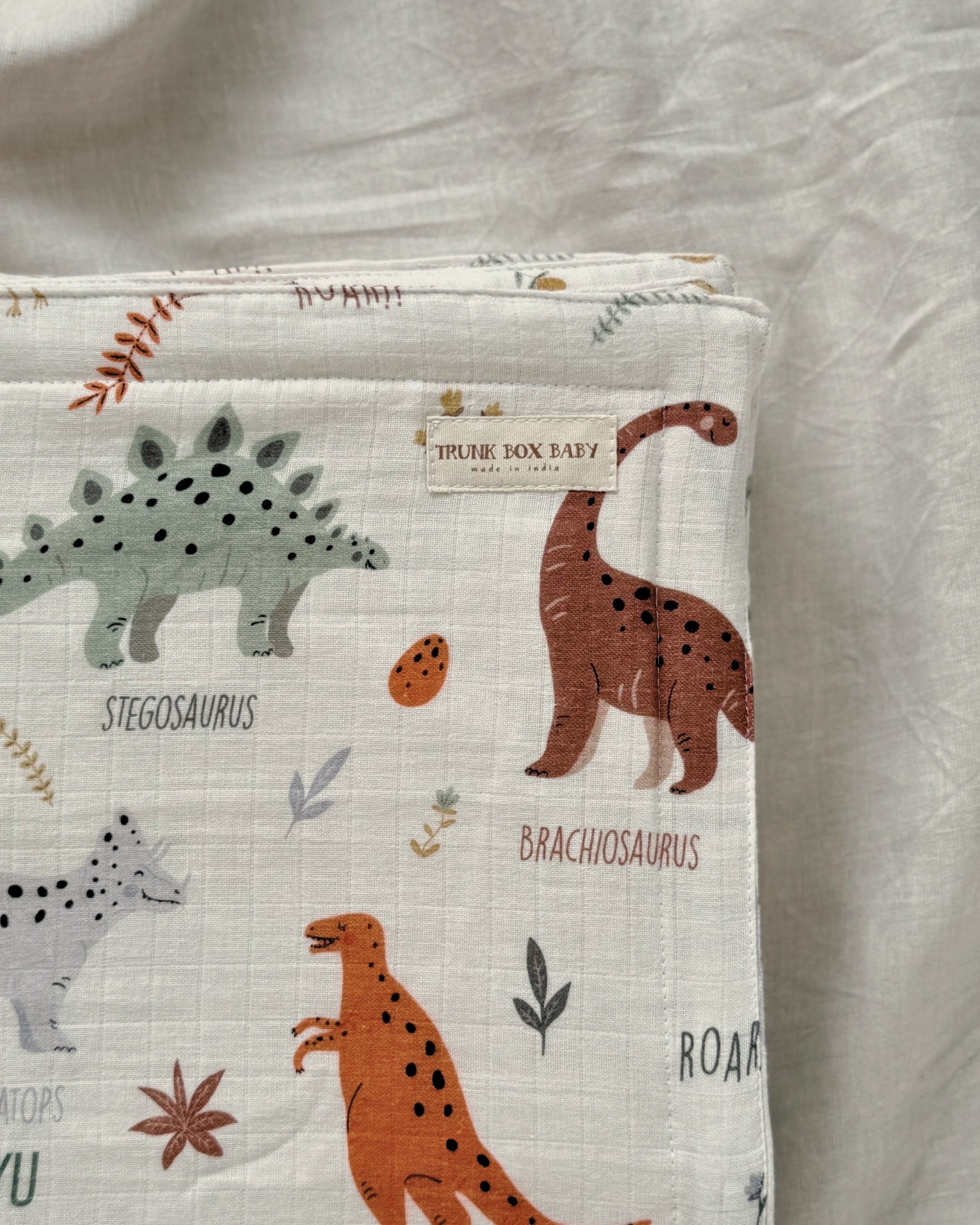 Dinosaur Newborn Combo
