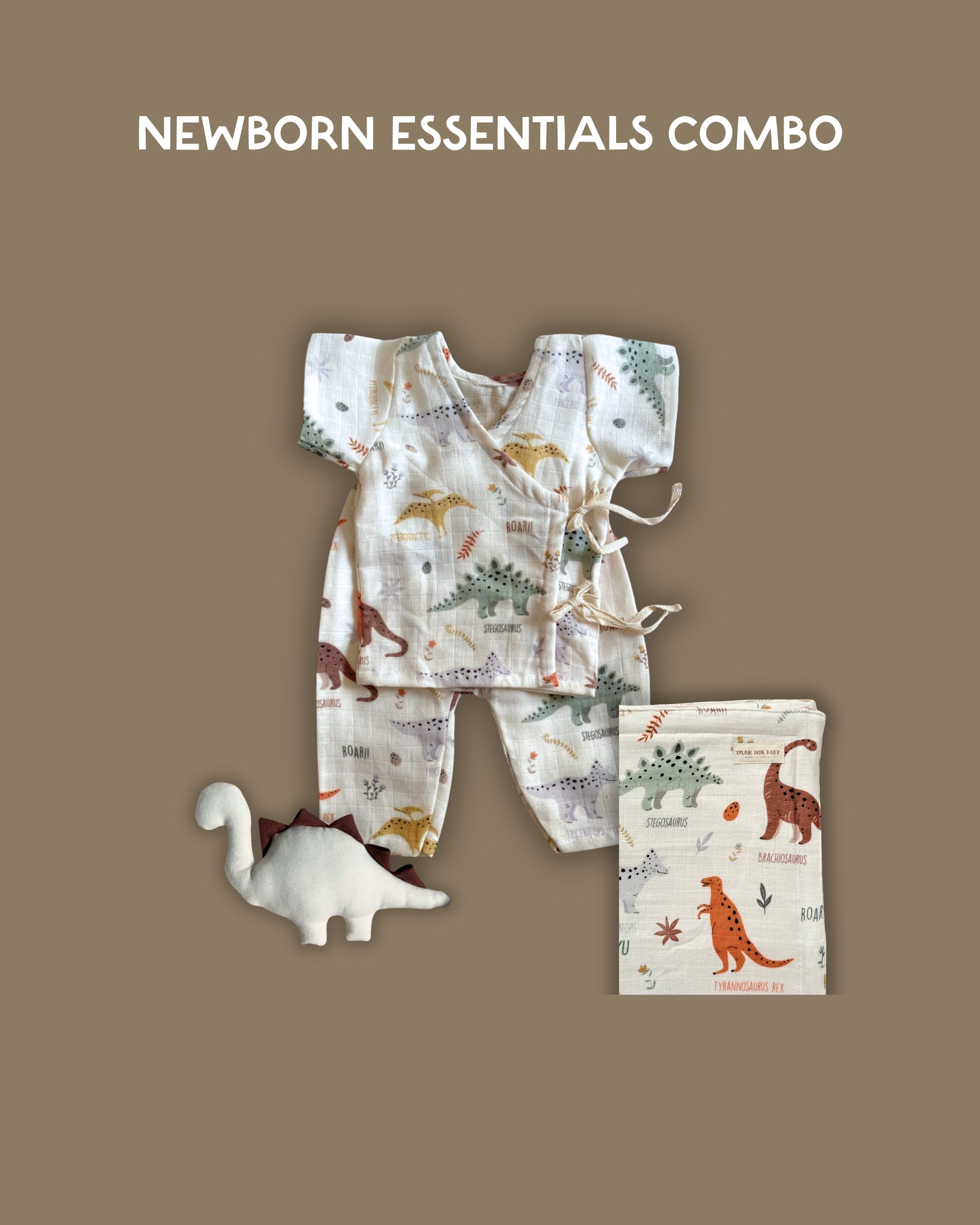 Dinosaur Newborn Combo