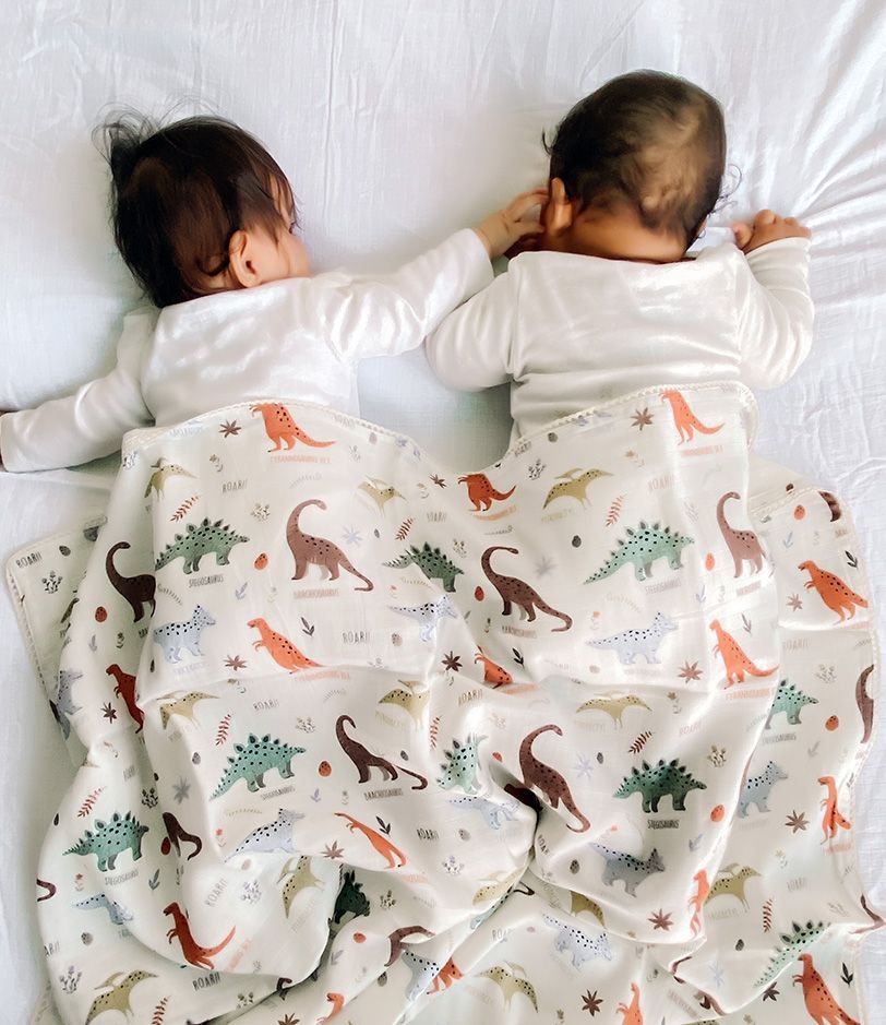 Dinosaur Roar Swaddle
