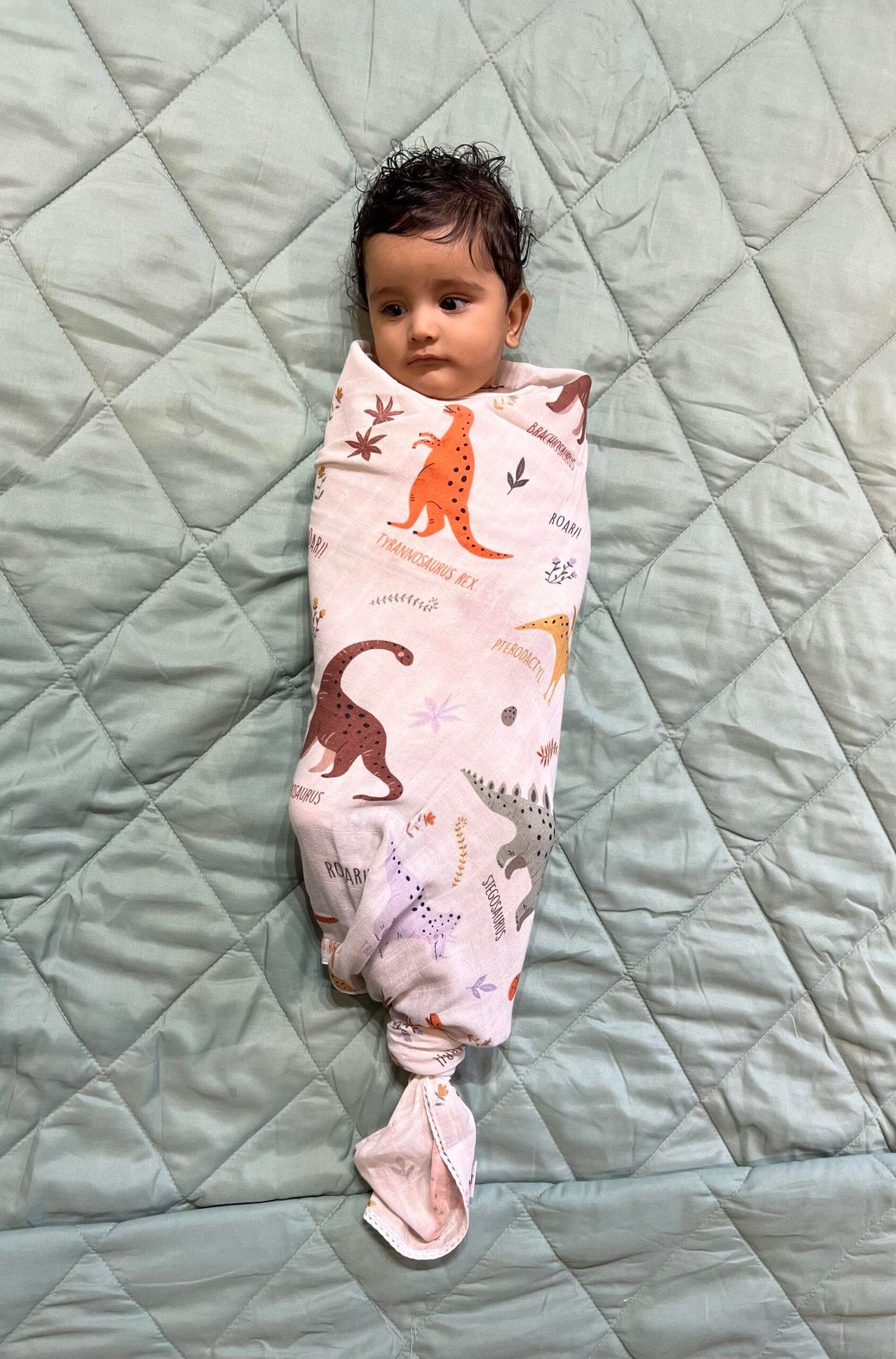 Dinosaur Roar Swaddle