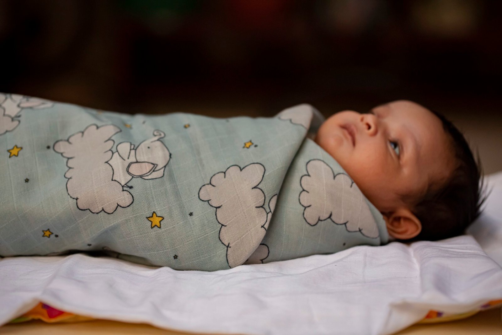 Elephant and Stars Swaddle